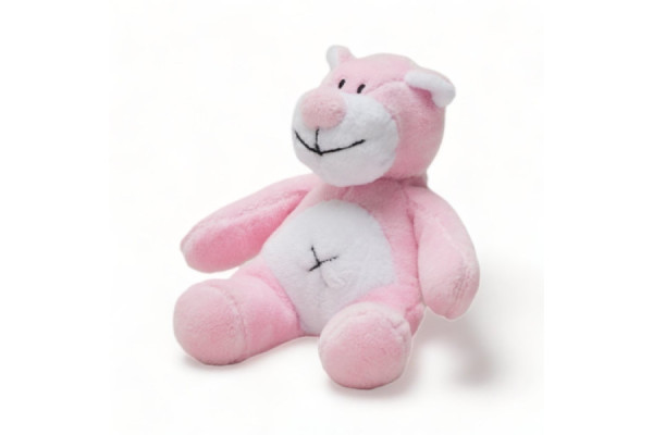 Oso Teddy Rosado Peq