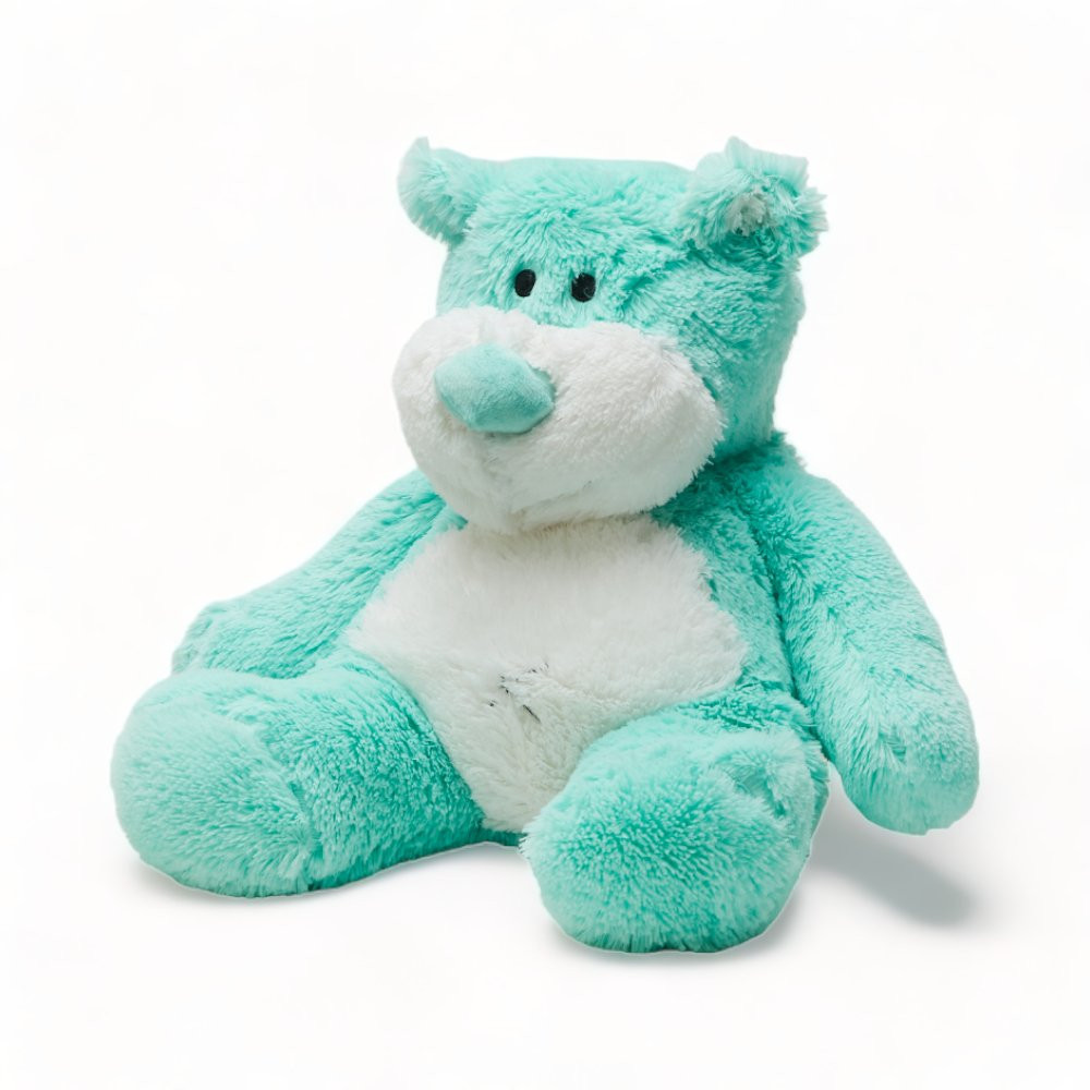 Oso Teddy Menta Grande