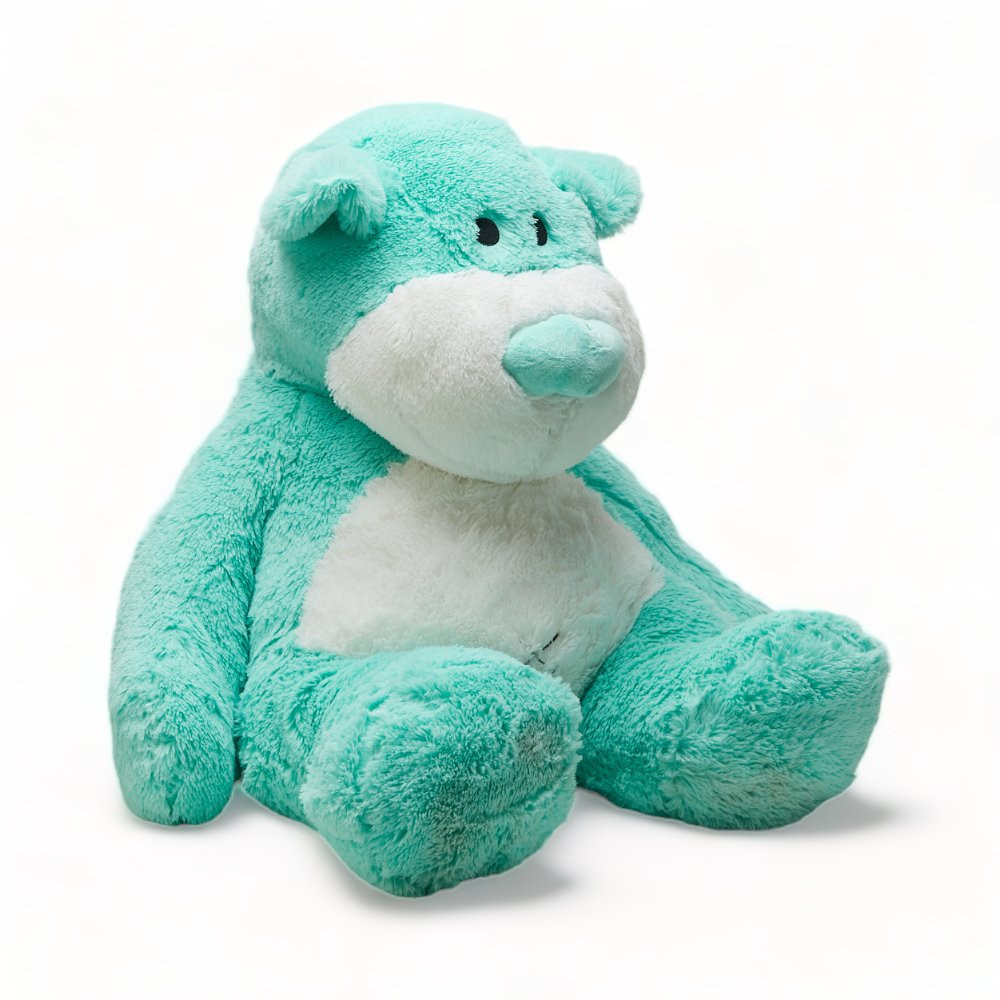 Oso Teddy Menta Gigante